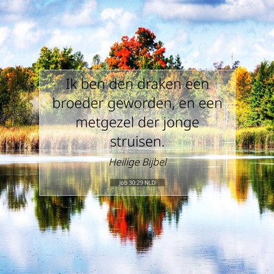 Picture 07 - Job 30:29 NLD - Ik ben den draken een broeder geworden, en een - Bible Verse Picture