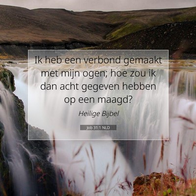 Picture 07 - Job 31:1 NLD - Ik heb een verbond gemaakt met mijn ogen; hoe zou - Bible Verse Picture