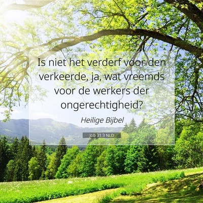 Picture 07 - Job 31:3 NLD - Is niet het verderf voor den verkeerde, ja, wat - Bible Verse Picture