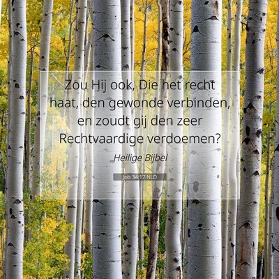 Picture 07 - Job 34:17 NLD - Zou Hij ook, Die het recht haat, den gewonde - Bible Verse Picture