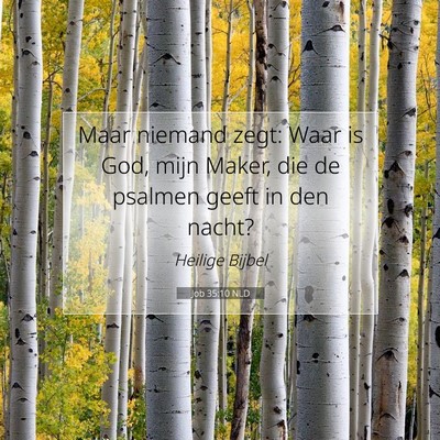 Picture 07 - Job 35:10 NLD - Maar niemand zegt: Waar is God, mijn Maker, die - Bible Verse Picture
