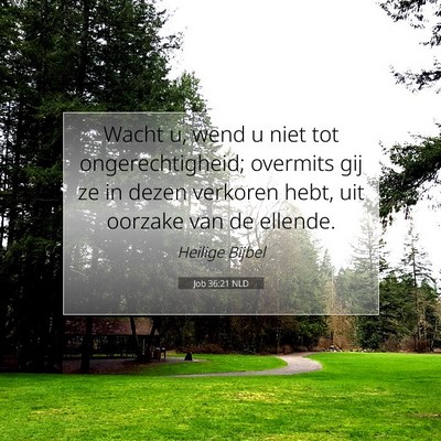 Picture 07 - Job 36:21 NLD - Wacht u, wend u niet tot ongerechtigheid; - Bible Verse Picture