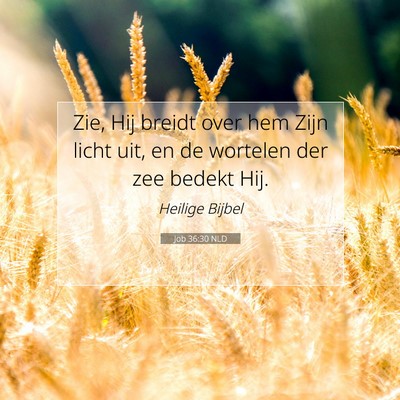 Picture 07 - Job 36:30 NLD - Zie, Hij breidt over hem Zijn licht uit, en de - Bible Verse Picture