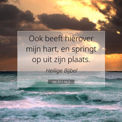 Picture 07 - Job 37:1 NLD - Ook beeft hierover mijn hart, en springt op uit - Bible Verse Picture