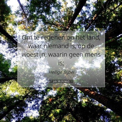 Picture 07 - Job 38:26 NLD - Om te regenen op het land, waar niemand is, op de - Bible Verse Picture