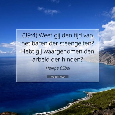Picture 07 - Job 39:1 NLD - (39:4) Weet gij den tijd van het baren der - Bible Verse Picture