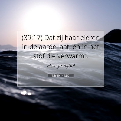Picture 07 - Job 39:14 NLD - (39:17) Dat zij haar eieren in de aarde laat, en - Bible Verse Picture