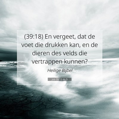 Picture 07 - Job 39:15 NLD - (39:18) En vergeet, dat de voet die drukken kan, - Bible Verse Picture