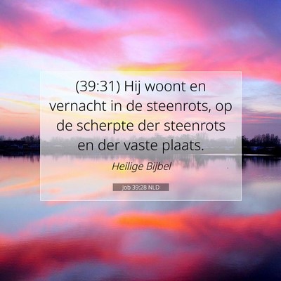 Picture 07 - Job 39:28 NLD - (39:31) Hij woont en vernacht in de steenrots, op - Bible Verse Picture