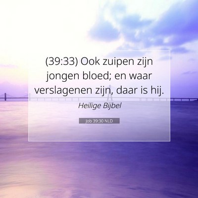 Picture 07 - Job 39:30 NLD - (39:33) Ook zuipen zijn jongen bloed; en waar - Bible Verse Picture