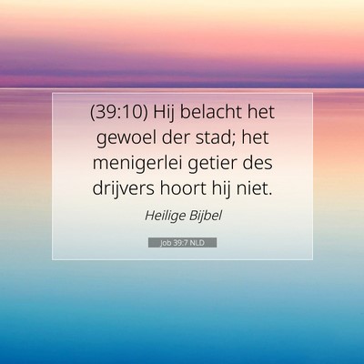 Picture 07 - Job 39:7 NLD - (39:10) Hij belacht het gewoel der stad; het - Bible Verse Picture