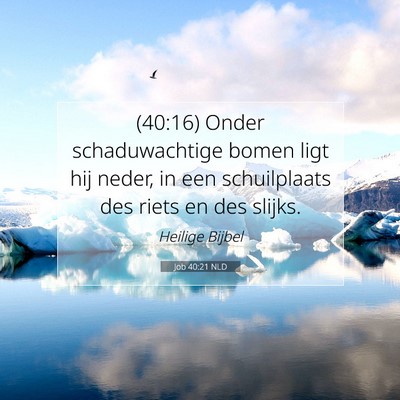 Picture 07 - Job 40:21 NLD - (40:16) Onder schaduwachtige bomen ligt hij - Bible Verse Picture