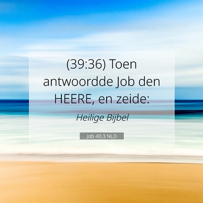 Picture 07 - Job 40:3 NLD - (39:36) Toen antwoordde Job den HEERE, en - Bible Verse Picture