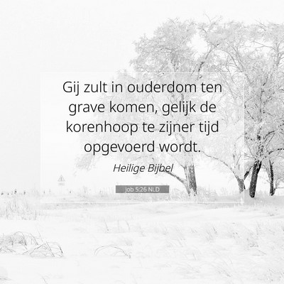 Picture 07 - Job 5:26 NLD - Gij zult in ouderdom ten grave komen, gelijk de - Bible Verse Picture