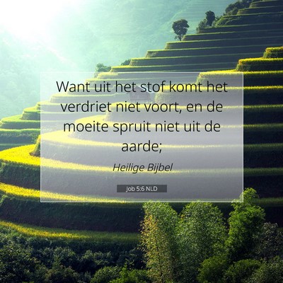 Picture 07 - Job 5:6 NLD - Want uit het stof komt het verdriet niet voort, - Bible Verse Picture