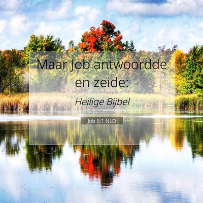 Picture 07 - Job 6:1 NLD - Maar Job antwoordde en - Bible Verse Picture