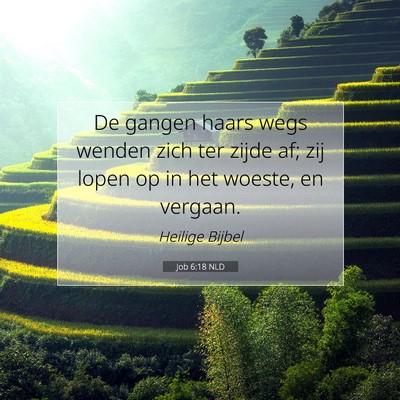 Picture 07 - Job 6:18 NLD - De gangen haars wegs wenden zich ter zijde af; - Bible Verse Picture