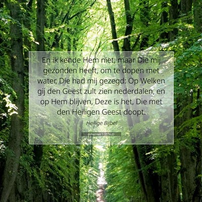 Picture 07 - Johannes 1:33 NLD - En ik kende Hem niet; maar Die mij gezonden - Bible Verse Picture