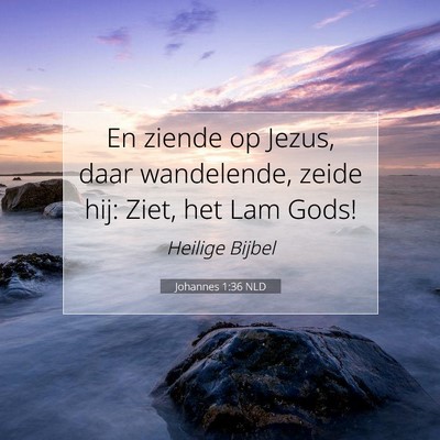Picture 07 - Johannes 1:36 NLD - En ziende op Jezus, daar wandelende, zeide hij: - Bible Verse Picture