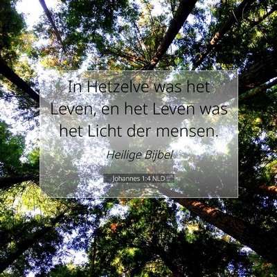 Picture 07 - Johannes 1:4 NLD - In Hetzelve was het Leven, en het Leven was het - Bible Verse Picture