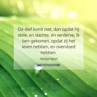 Picture 07 - Johannes 10:10 NLD - De dief komt niet, dan opdat hij stele, en - Bible Verse Picture