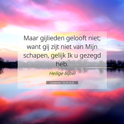 Picture 07 - Johannes 10:26 NLD - Maar gijlieden gelooft niet; want gij zijt niet - Bible Verse Picture