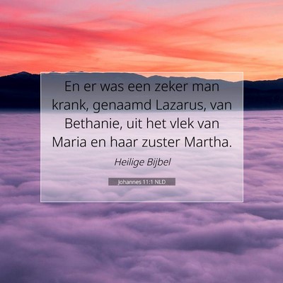 Picture 07 - Johannes 11:1 NLD - En er was een zeker man krank, genaamd Lazarus, - Bible Verse Picture