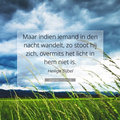 Picture 07 - Johannes 11:10 NLD - Maar indien iemand in den nacht wandelt, zo stoot - Bible Verse Picture