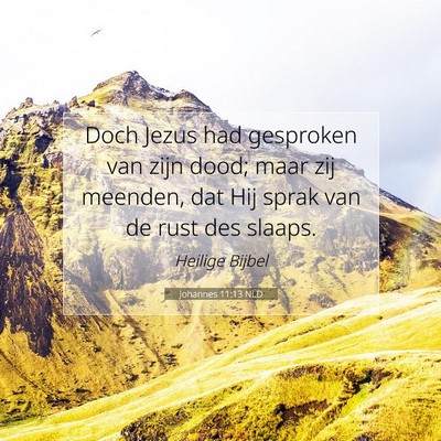 Picture 07 - Johannes 11:13 NLD - Doch Jezus had gesproken van zijn dood; maar zij - Bible Verse Picture