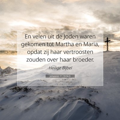 Picture 07 - Johannes 11:19 NLD - En velen uit de Joden waren gekomen tot Martha en - Bible Verse Picture