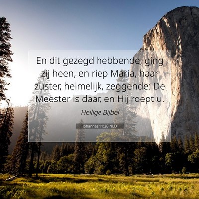 Picture 07 - Johannes 11:28 NLD - En dit gezegd hebbende, ging zij heen, en riep - Bible Verse Picture