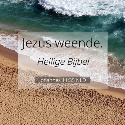 Picture 07 - Johannes 11:35 NLD - Jezus - Bible Verse Picture