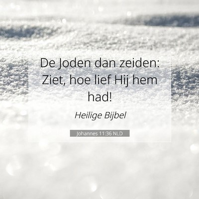 Picture 07 - Johannes 11:36 NLD - De Joden dan zeiden: Ziet, hoe lief Hij hem - Bible Verse Picture