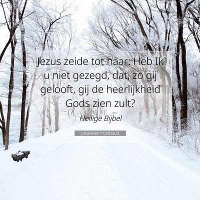 Picture 07 - Johannes 11:40 NLD - Jezus zeide tot haar: Heb Ik u niet gezegd, dat, - Bible Verse Picture