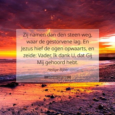 Picture 07 - Johannes 11:41 NLD - Zij namen dan den steen weg, waar de gestorvene - Bible Verse Picture