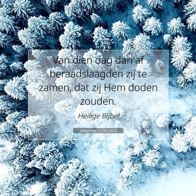 Picture 07 - Johannes 11:53 NLD - Van dien dag dan af beraadslaagden zij te zamen, - Bible Verse Picture