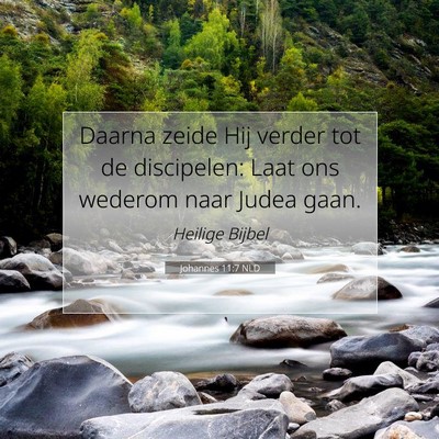 Picture 07 - Johannes 11:7 NLD - Daarna zeide Hij verder tot de discipelen: Laat - Bible Verse Picture