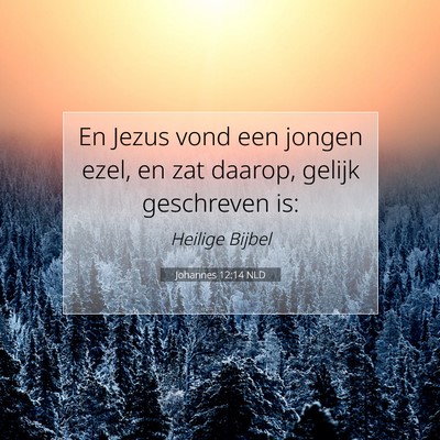 Picture 07 - Johannes 12:14 NLD - En Jezus vond een jongen ezel, en zat daarop, - Bible Verse Picture