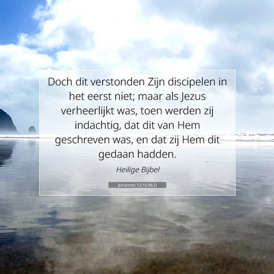 Picture 07 - Johannes 12:16 NLD - Doch dit verstonden Zijn discipelen in het eerst - Bible Verse Picture