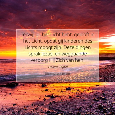 Picture 07 - Johannes 12:36 NLD - Terwijl gij het Licht hebt, gelooft in het Licht, - Bible Verse Picture