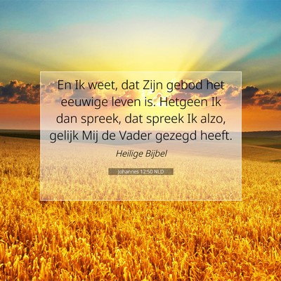 Picture 07 - Johannes 12:50 NLD - En Ik weet, dat Zijn gebod het eeuwige leven is. - Bible Verse Picture