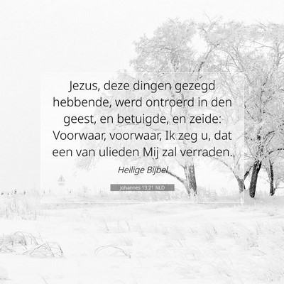 Picture 07 - Johannes 13:21 NLD - Jezus, deze dingen gezegd hebbende, werd ontroerd - Bible Verse Picture