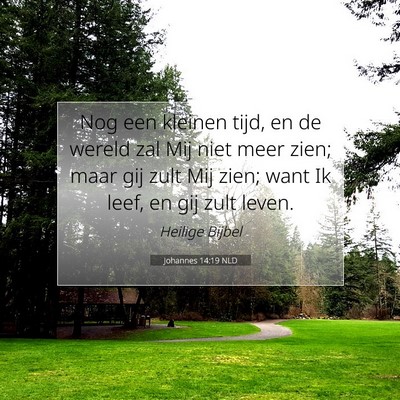 Picture 07 - Johannes 14:19 NLD - Nog een kleinen tijd, en de wereld zal Mij niet - Bible Verse Picture