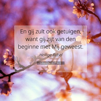 Picture 07 - Johannes 15:27 NLD - En gij zult ook getuigen, want gij zijt van den - Bible Verse Picture