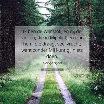 Picture 07 - Johannes 15:5 NLD - Ik ben de Wijnstok, en gij de ranken; die in Mij - Bible Verse Picture