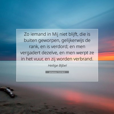 Picture 07 - Johannes 15:6 NLD - Zo iemand in Mij niet blijft, die is buiten - Bible Verse Picture