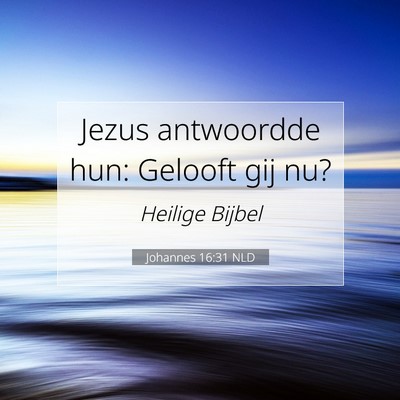Picture 07 - Johannes 16:31 NLD - Jezus antwoordde hun: Gelooft gij - Bible Verse Picture