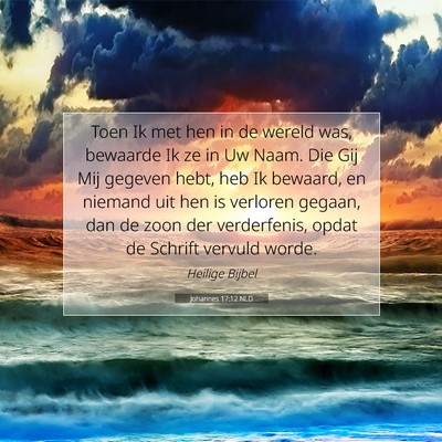 Picture 07 - Johannes 17:12 NLD - Toen Ik met hen in de wereld was, bewaarde Ik ze - Bible Verse Picture