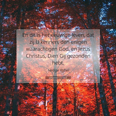Picture 07 - Johannes 17:3 NLD - En dit is het eeuwige leven, dat zij U kennen, - Bible Verse Picture