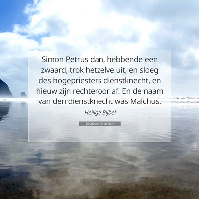 Picture 07 - Johannes 18:10 NLD - Simon Petrus dan, hebbende een zwaard, trok - Bible Verse Picture